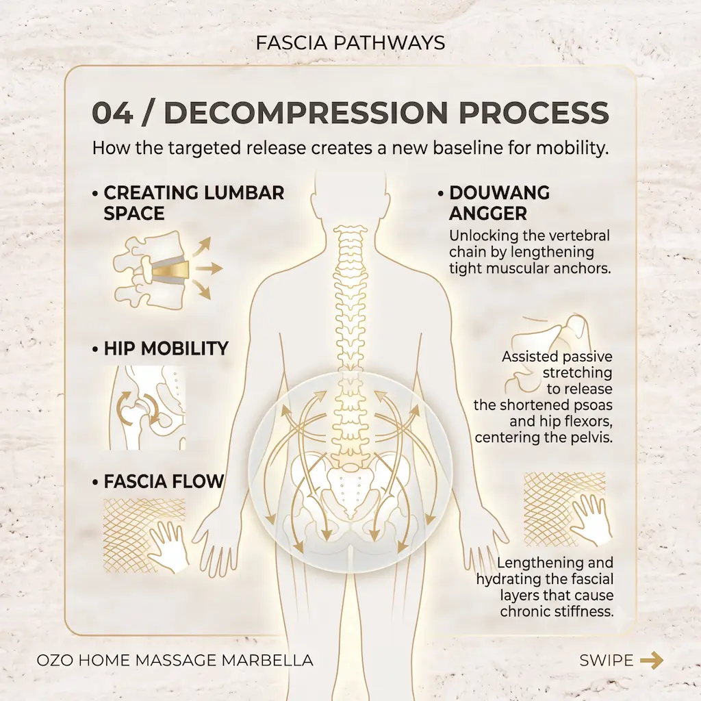Fascia pathways and hip mobilization for lumbar decompression